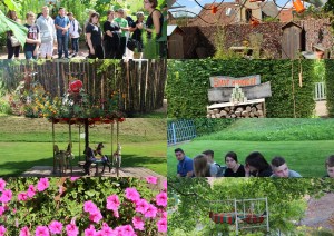 photos choisies 3pp jardin de la paix4