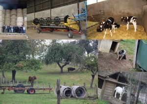 photos sortie 3pp jpg