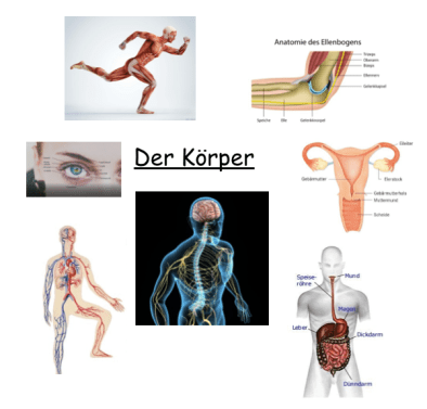 Capture d’écran 2019-05-05 à 11.06.02.pn
