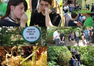 photos choisies 3pp jardin de la paix2