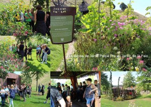 photos choisies 3pp jardin de la paix